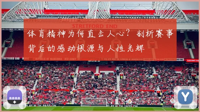 体育精神为何直击人心？剖析赛事背后的感动根源与人性光辉
