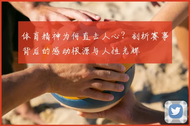 体育精神为何直击人心？剖析赛事背后的感动根源与人性光辉