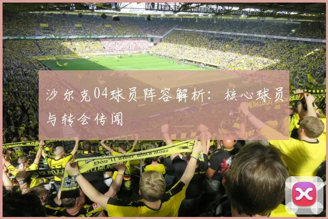 沙尔克04球员阵容解析：核心球员与转会传闻